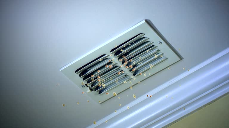 Best HVAC Duct Inspection Services  in Mino Tassajara, CA